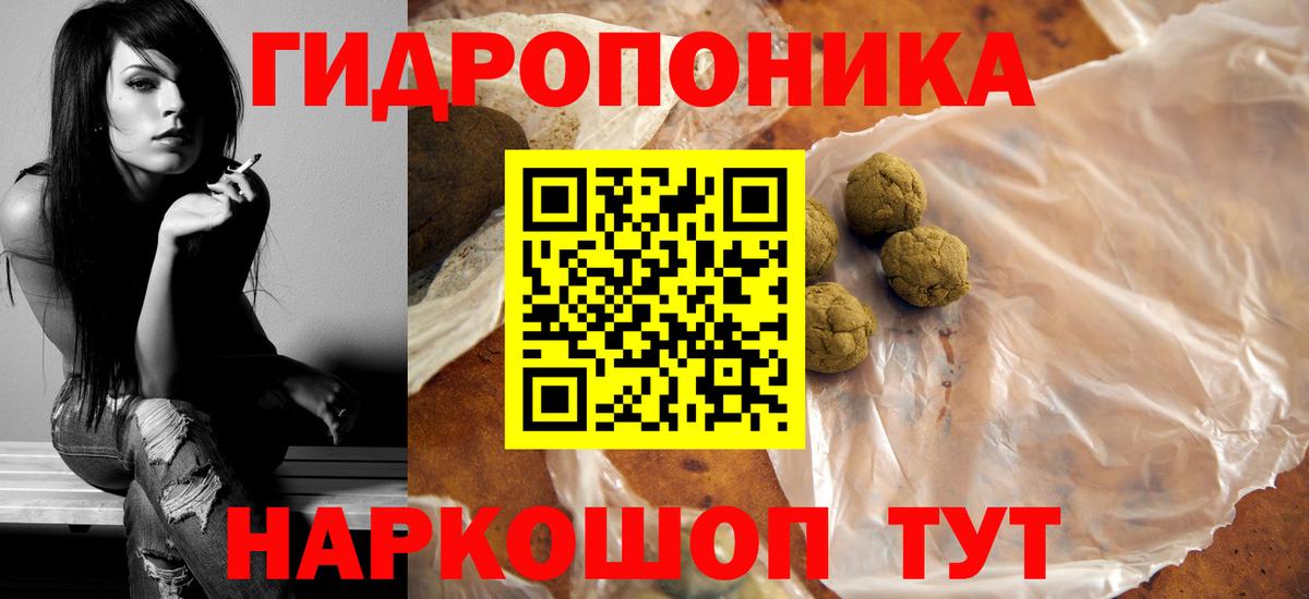Шишки марихуана гибрид Сегежа